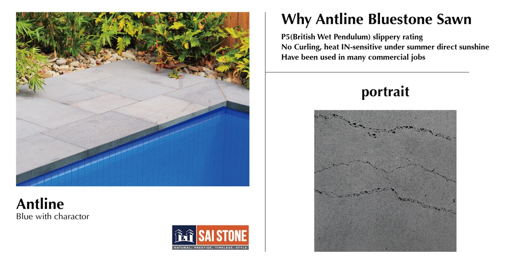 Antline Bluestone Paver 800x400x20 Sawn