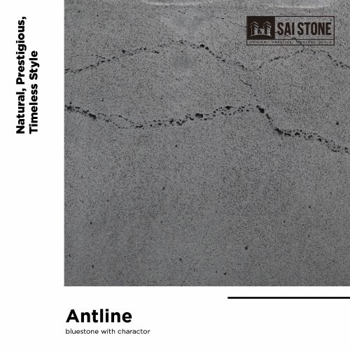 Antline Bluestone Paver 1005x500x20 SAWN