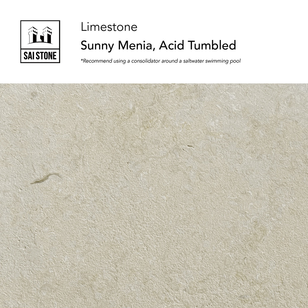 Sunny Menia Limestone  Coping 600x400x20mm drop60 Acid Wash+Tumbled