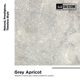 [PAGA60040020SB] Grey Apricot 600x400x20mm Paver Sandblasted
