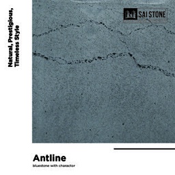[ANTCOBO60040030Sabe] Antline Bluestone Coping 600x400x30 Bevelled  Sawn